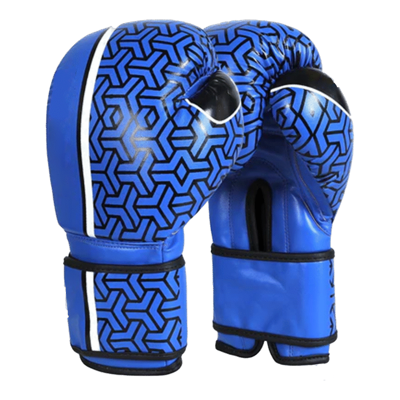 Professional Boxing Gloves