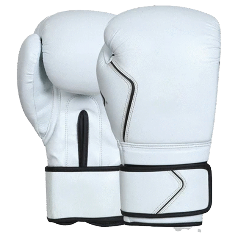 Professional Boxing gloves