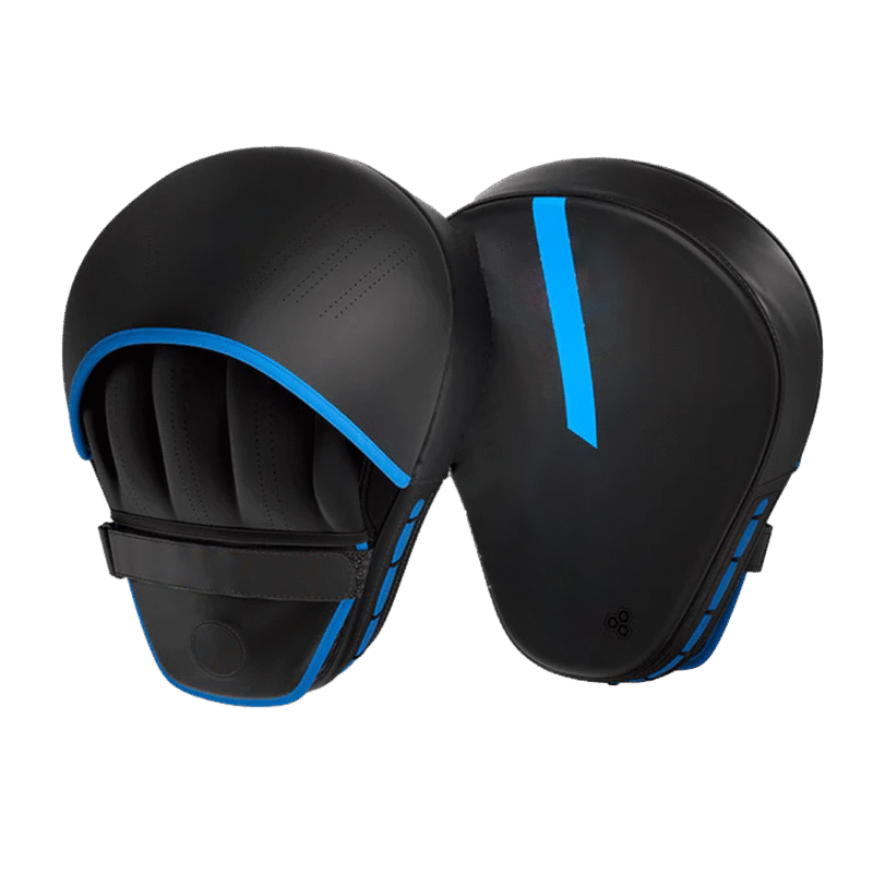 Boxing Focus Mitts