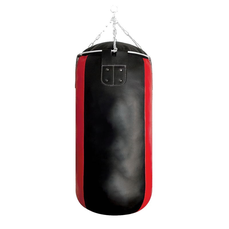 Punching Bag GIANT